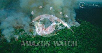 Elutasították az amazonasi erdőtűz megállítására küldött Bitcoin adományt